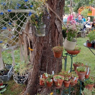 520477694_24214891618201106_2076809905465007889_n